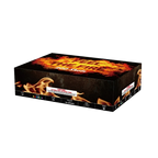 FEEL THE FIRE 200 SCHUSS MIT 1.2" ROHR