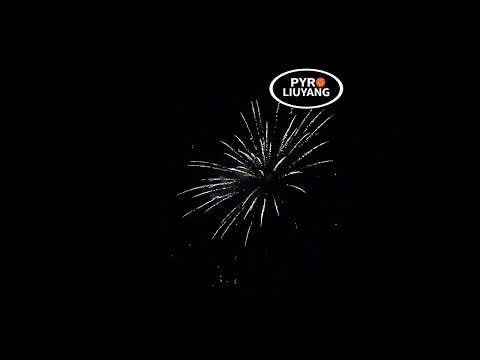 FANTASY 25 Schuss mit 1,2"-Rohr 