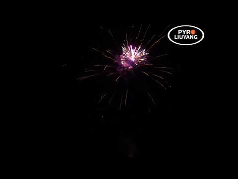 DANCE MONKEY 25 SHOTS MIT 1,2"-ROHR 