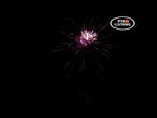 DANCE MONKEY 25 SHOTS MIT 1,2"-ROHR 
