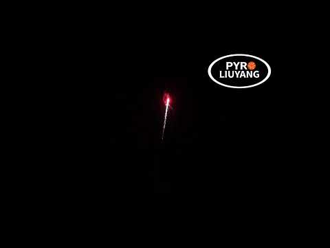 C007 CUSTOMIZABLE PACKAGING 9 SHOTS WITH EFFECT VIDEO ROMAN CANDLES