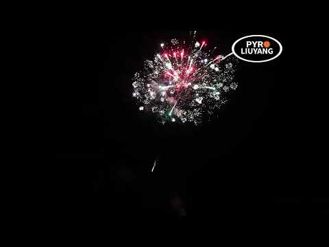 RAINDROPS 25 SCHÜSSE MIT 1,2"-ROHR 