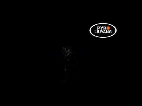 C011 ANPASSBARE VERPACKUNG 8 SCHUSS MIT EFFEKT-VIDEO RÖMISCHE LICHTER