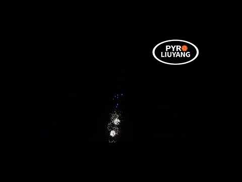 C010 CUSTOMIZABLE PACKAGING 9 SHOTS WITH EFFECT VIDEO ROMAN CANDLES