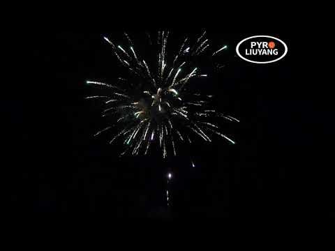 LONELY STAR 100 Schuss mit 1,2"-Rohr 